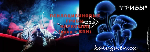 гидропоника Михайлов