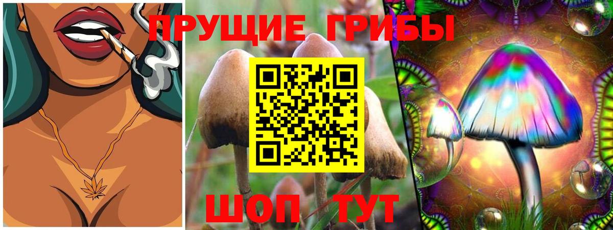 Советск  Псилоцибиновые грибы мухоморы  Вход с VPN 