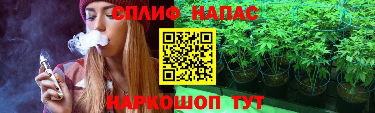 Конопля Amnesia Советск